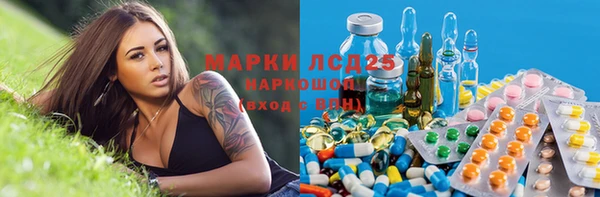 ПСИЛОЦИБИНОВЫЕ ГРИБЫ Алзамай