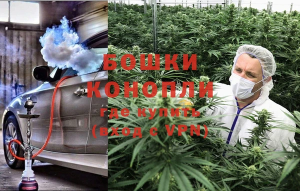 ПСИЛОЦИБИНОВЫЕ ГРИБЫ Алзамай