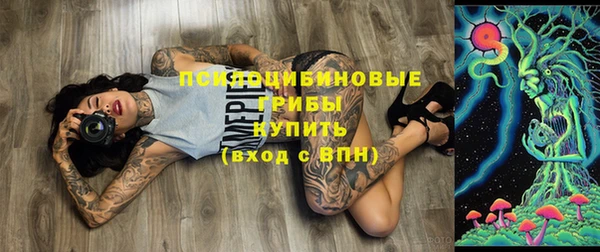 сатива Алексеевка