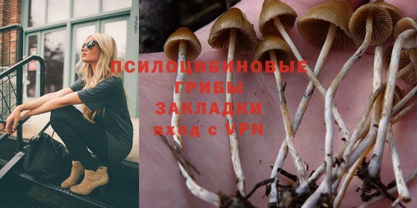 героин Алексин