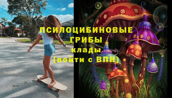 ПСИЛОЦИБИНОВЫЕ ГРИБЫ Алзамай