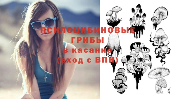 героин Алексин