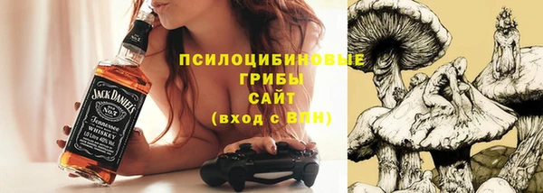 сатива Алексеевка
